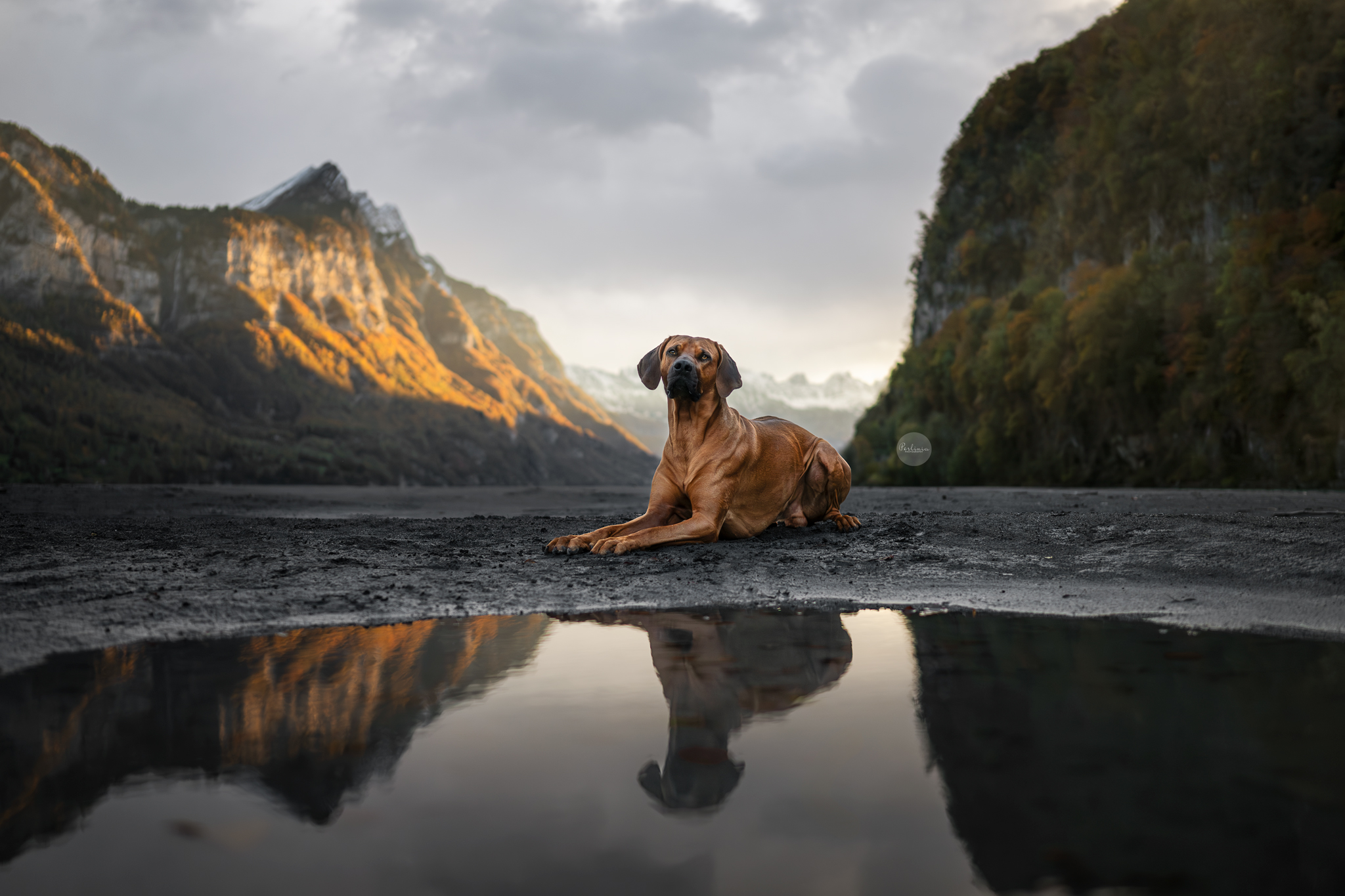 Mein Ausflug zum Walensee