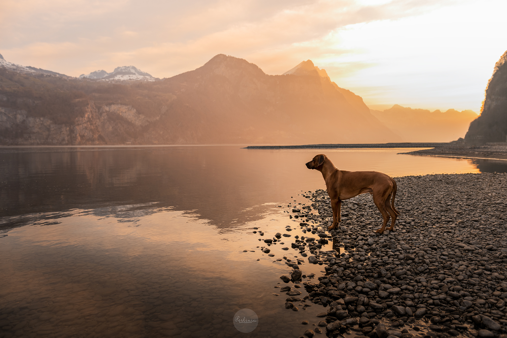 Mein Ausflug zum Walensee